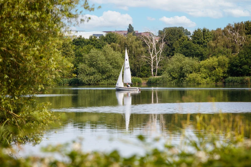 Hendon welsh harp