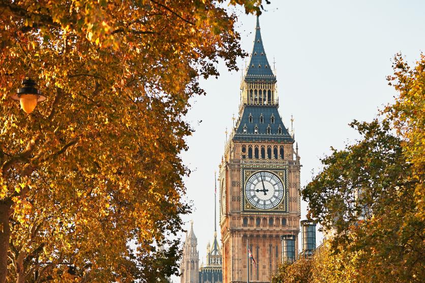 Autumn & Winter with Square Roots