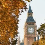 Autumn & Winter with Square Roots