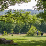 Why Live in a Regeneration Zone
