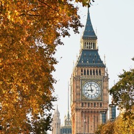 Autumn & Winter with Square Roots