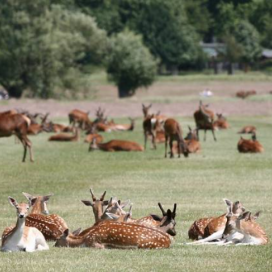 A Seasonal Guide to Picnicking in Richmond