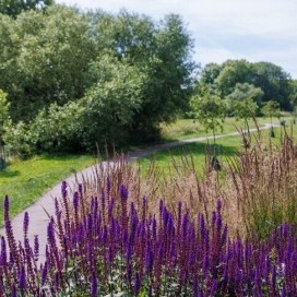 The Benefits of Living in an Urban Regeneration Area: Square Roots