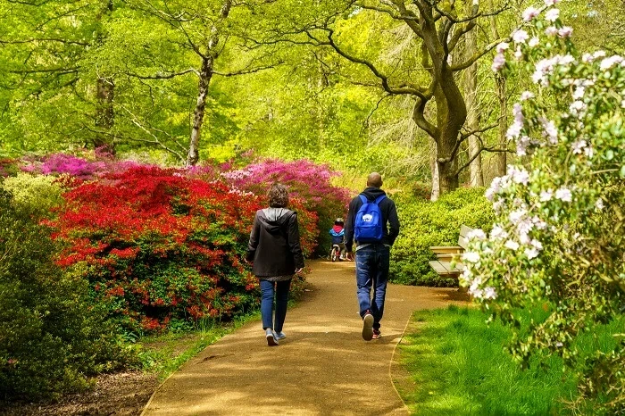 Spring: Isabella Plantation