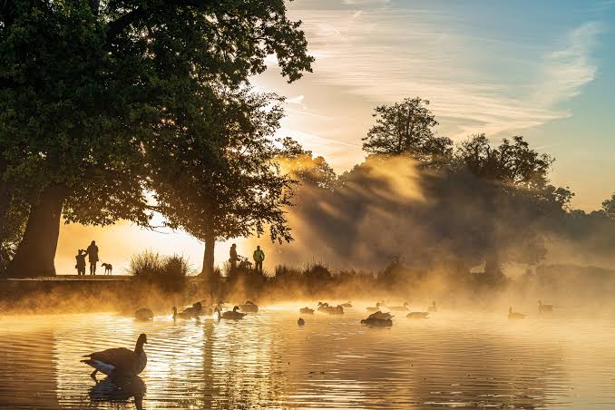 Summer: Pen Ponds